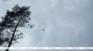 За незаконные ввоз, изготовление и эксплуатацию БПЛА может грозить до двух лет лишения свободы