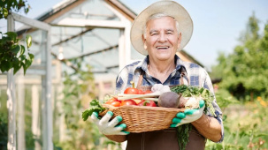 Дачников ждут изменения в налогообложении доходов от подсобного хозяйства