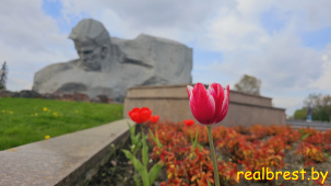 За полгода Брестскую крепость посетили свыше 460 тысяч человек