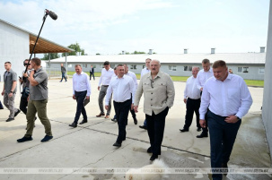 Лукашенко: к 1 сентября в стране не должно быть ни одного бревна, валяющегося на опушке леса