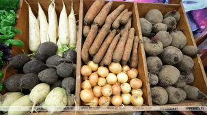 Торговлю и поставщиков будут штрафовать за отсутствие в продаже овощей. Лукашенко подписал новый закон