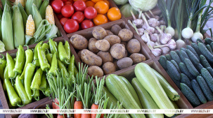 Какую сельхозпродукцию и по каким ценам принимают у населения, рассказали в Белкоопсоюзе