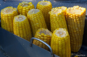 В Беларуси раскрыли картельный сговор на рынке агрохимии