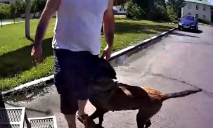 Иностранца с марихуаной задержали при въезде в Беларусь, он был под воздействием наркотиков