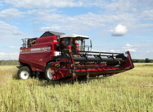 В Брестской области начали сев озимого рапса