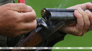 Сезон охоты на бобра и выдру откроется в Беларуси с 1 сентября