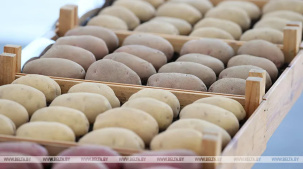 МАРТ выявил случаи завышения цен на продукцию фермерских хозяйств