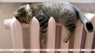 Подачу тепла в жилфонд начали в Бресте