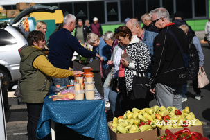 Запасаются ли сейчас брестчане овощами на зиму и где предпочитают делать закупки?