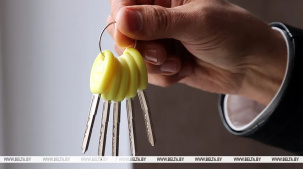 Запрет на предоставление под залог при займе единственного жилого помещения предлагают ввести в Беларуси