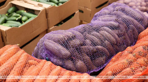 Грибы, клюква, овощи. Белкоопсоюз рассказал о ценах и закупках продукции у населения