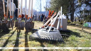 Республиканский субботник пройдет в Беларуси 25 октября