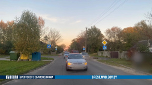 77-летний водитель «Mercedes» совершил наезд на девочку-пешехода в Бресте на ул. Кирпичной