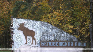 До Нового года рукой подать. Подготовку к зимнему турсезону начали в Беловежской пуще