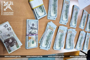 Гражданин Украины пытался ввезти в Беларусь 66 тысяч долларов США