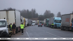 "Просто ужас, как они работают". Водители большегрузов в "Каменном Логе" о ситуации на границе с Литвой