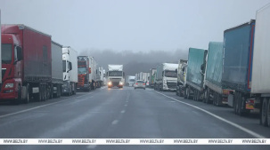 Литовские перевозчики заявили, что понесут огромные убытки из-за ситуации на границе