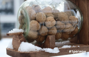 «Белки сыты». Полноценную «столовую» для пушистых зверьков создали в Бресте