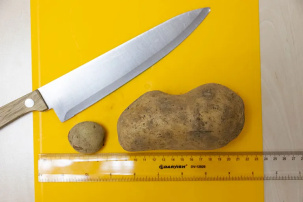 У картошки теперь свой стандарт: сходили в магазин, вооружившись линейкой