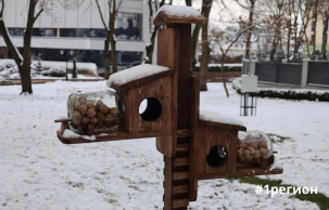 «Столовую» для пушистых зверьков создали в Бресте