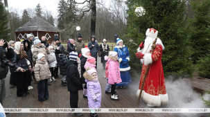 Туристы поделились впечатлениями о поместье Деда Мороза в Беловежской пуще