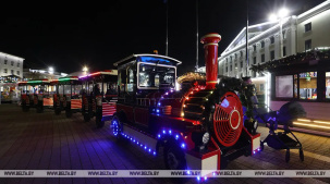 Необычная инсталляция лошади, креативные елки и фотозоны. Как Брест готовится к новогодним праздникам