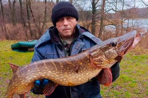 Судака на 6 кг. из Мухавца видели? Рыбаки по всей стране хвастаются уникальными уловами