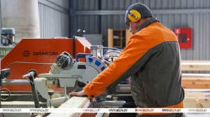 Производства по выпуску поддонов намерены наладить в Дрогичинском и Лунинецком лесхозах