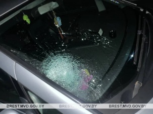 В Бресте Volkswagen сбил пешехода, переходившего дорогу на запрещающий сигнал светофора