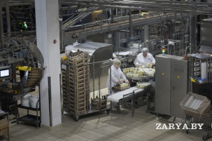 От мороженого до прессов. Какие проекты реализуют в промышленности Брестской области