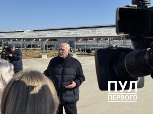 Лукашенко: участники атаки на Иран не добились своих целей