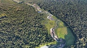 В нацпарке "Беловежская пуща" восстановили естественное русло реки Наревка