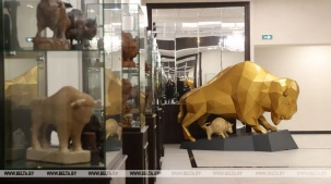 В Бресте создали единственный в Беларуси музей зубра. Как туда попасть?