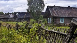 Сколько населенных пунктов в Беларуси — в каких регионах больше и почему исчезают