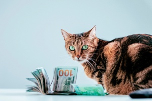 Доллар внезапно вырвался вверх – столько он не стоил уже очень давно