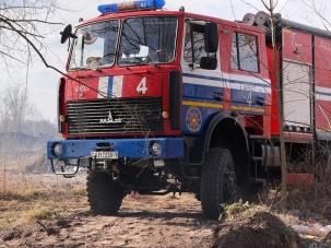 Спасатели ликвидировали загорание травы в Бресте