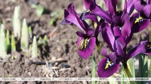 Ждать ли дождей? В Белгидромете рассказали о погоде на текущую неделю