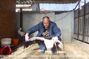 История Дома брестского аиста, риска закрытия и чудесного спасения