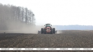 Личный кабинет в кабине трактора и ролики в TikTok. Аграрии Брестской области рассказали о буднях посевной