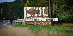 Почему технорейв в Беловежской пуще вызвал у людей бурную реакцию?