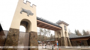 "Техно-рейв" в Беловежской пуще: при подготовке учтены все нормы природоохранного законодательства