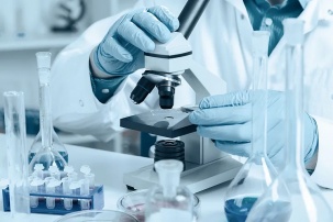 Готова ли Беларусь встретить хантавирус, рассказали специалисты