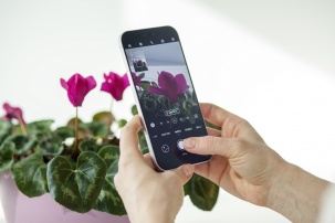 Теперь и в Бресте: смартфон Huawei nova 15 Pro с 5-кратным селфи-зумом и батареей на 6500 мАч