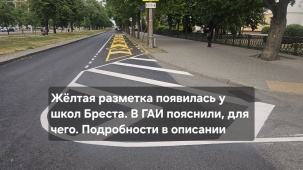 Жёлтая разметка появилась у школ Бреста