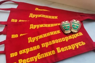 В милиции пояснили, какие требования дружинников законны в Беларуси и какие у них полномочия