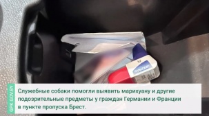 Брестские пограничники пресекли две попытки ввоза наркотиков в Беларусь