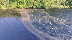 В Брестской области, как и по всей стране, фиксируется снижение уровня воды в водоемах