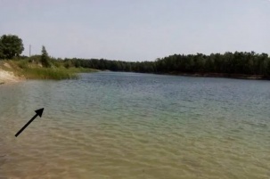 На искусственном водоёме «Брестское море» очевидцами спасён мужчина, потерявший сознание в воде
