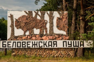 Иностранцы полюбили белорусские заказники и нацпарки – приезжают сотни