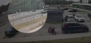 В Бресте на перекрестке Мытной и Маслова сбили лося